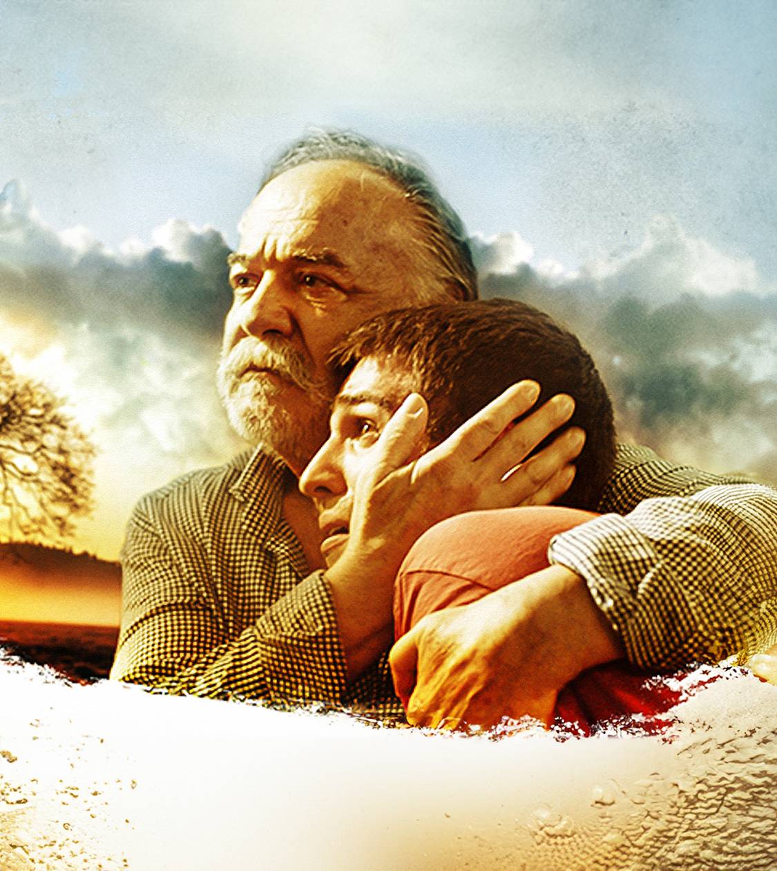 Babam izle | TV+