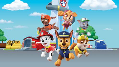 Paw Patrol S06 B02